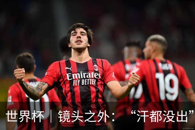 世界杯｜镜头之外：“汗都没出”的哈兰德，怎么就决定了比赛？